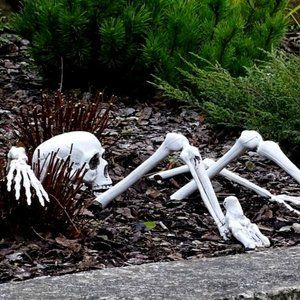 Meet your Posher 🕷🕸